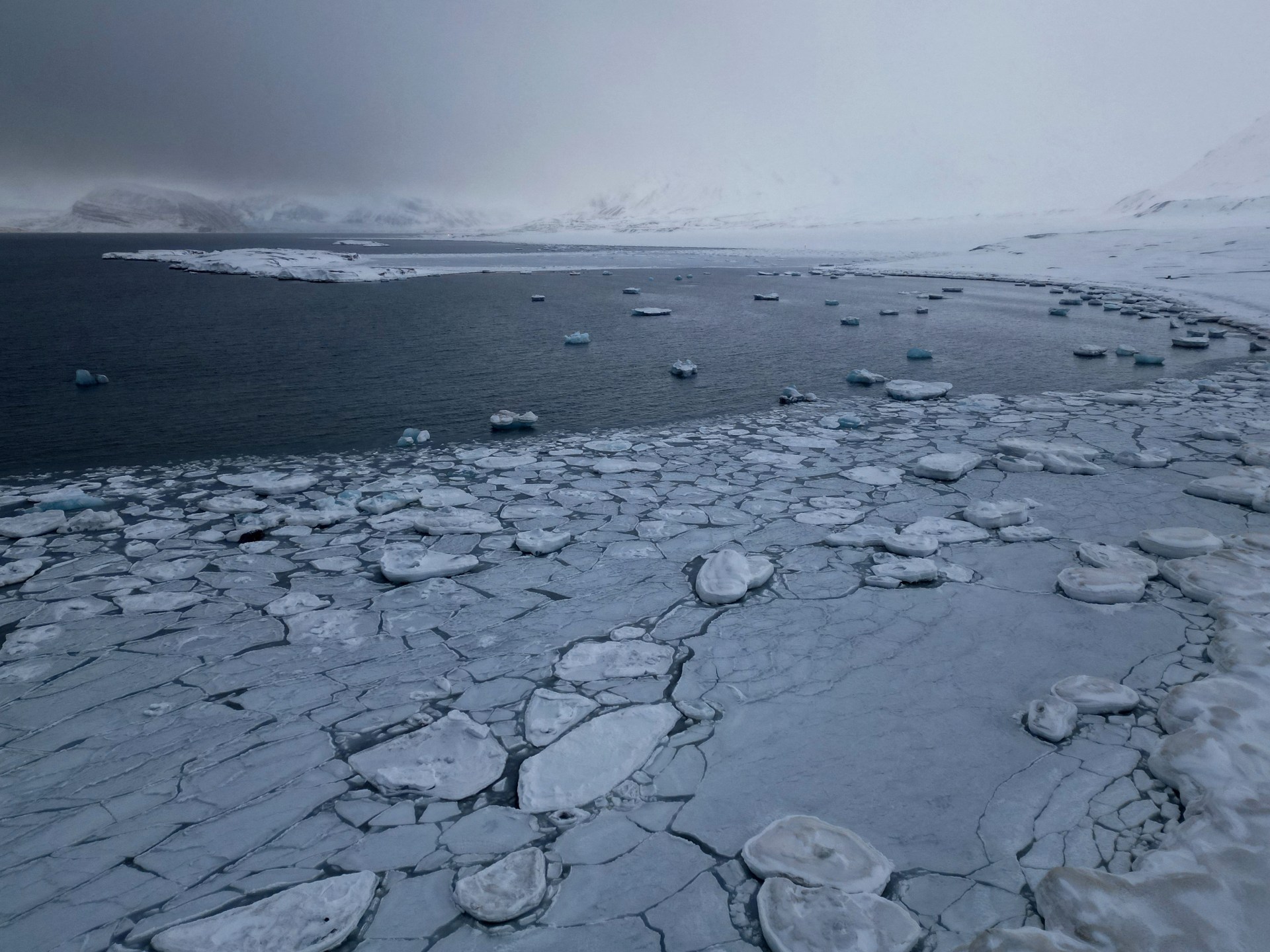 Arctic sees hottest year since 1900 as climate crisis continues 